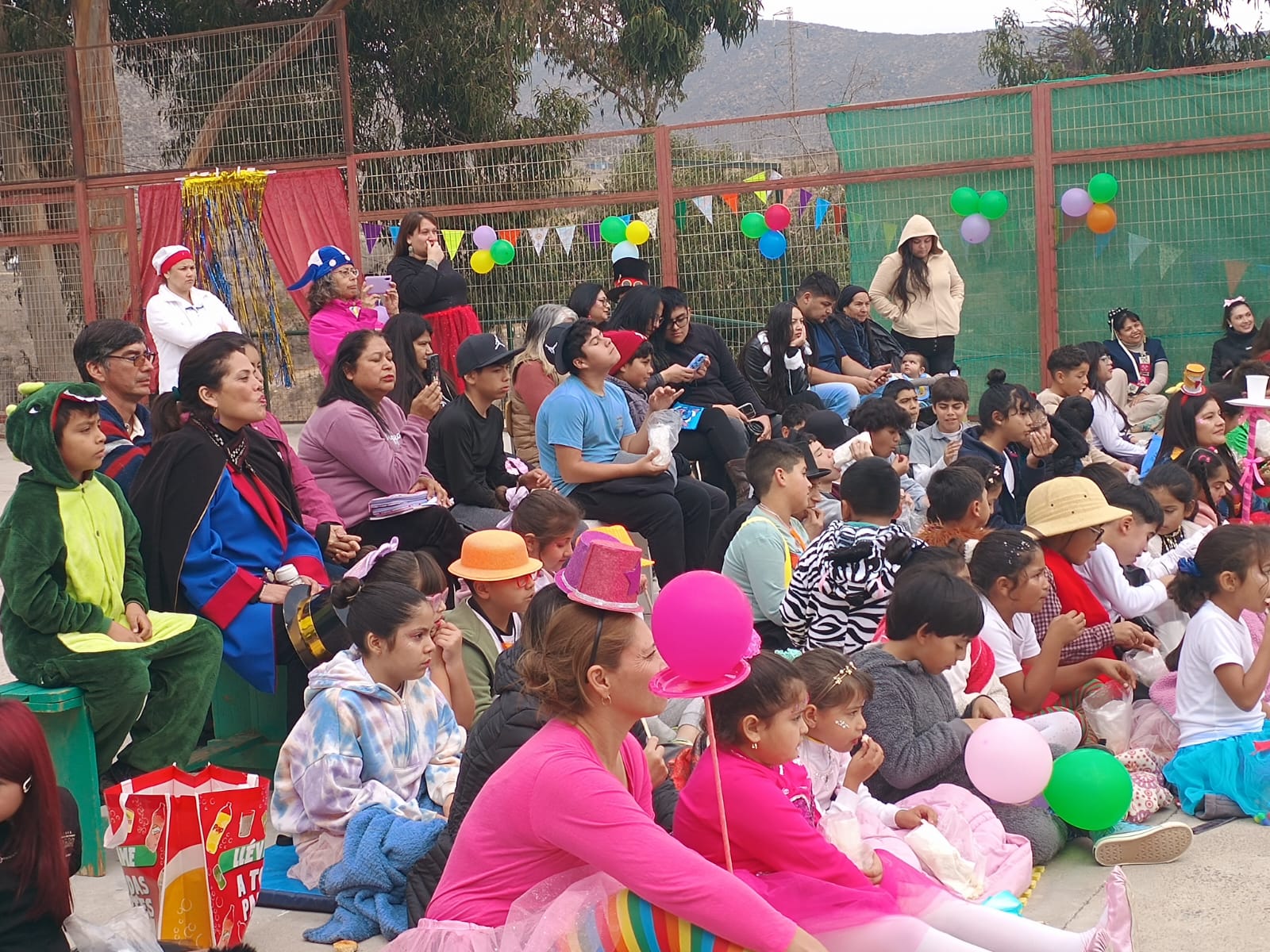 Actividad del Colegio Paulo Freire